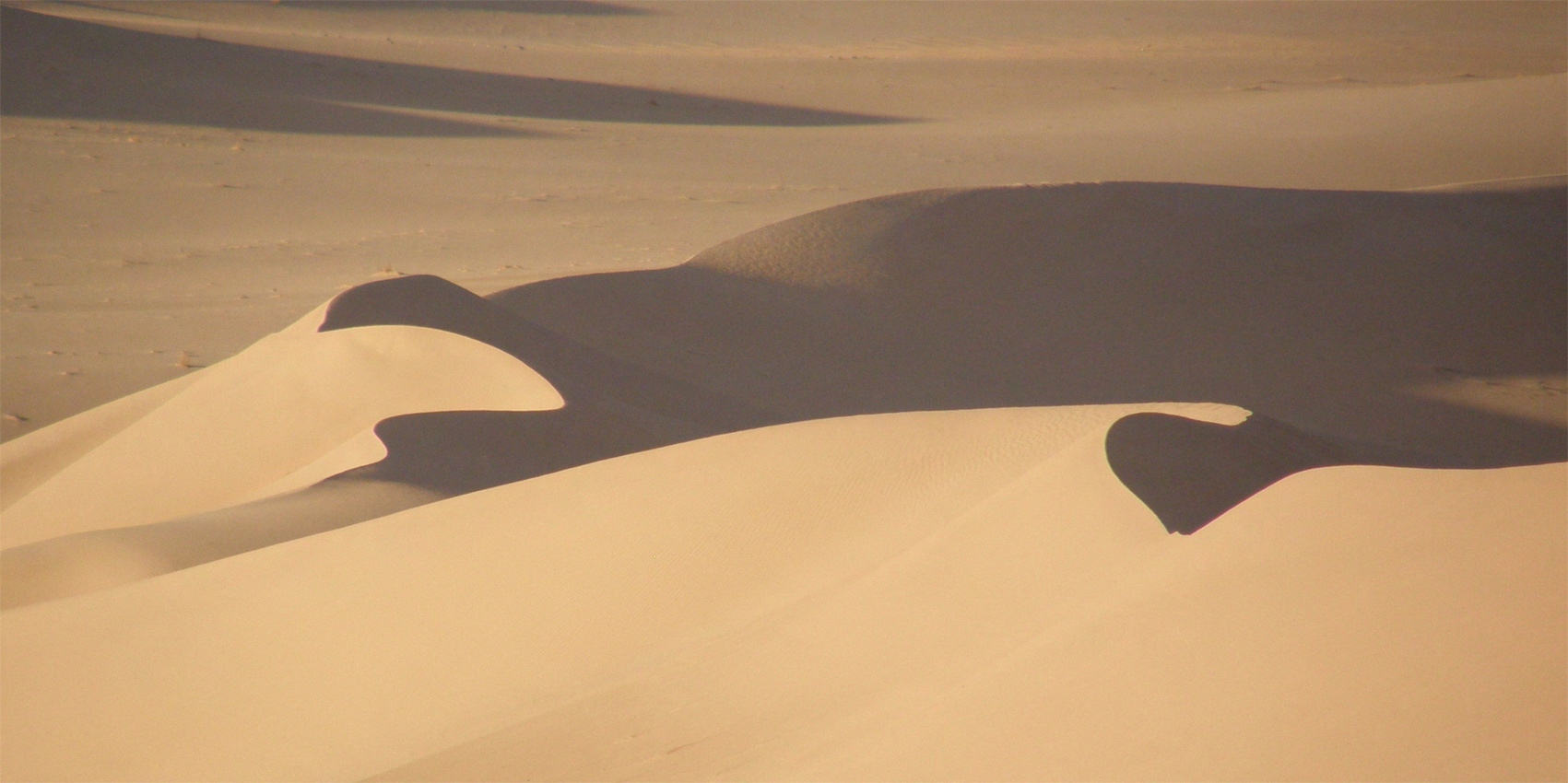 algerije _ sahara _ zandduinen.jpg